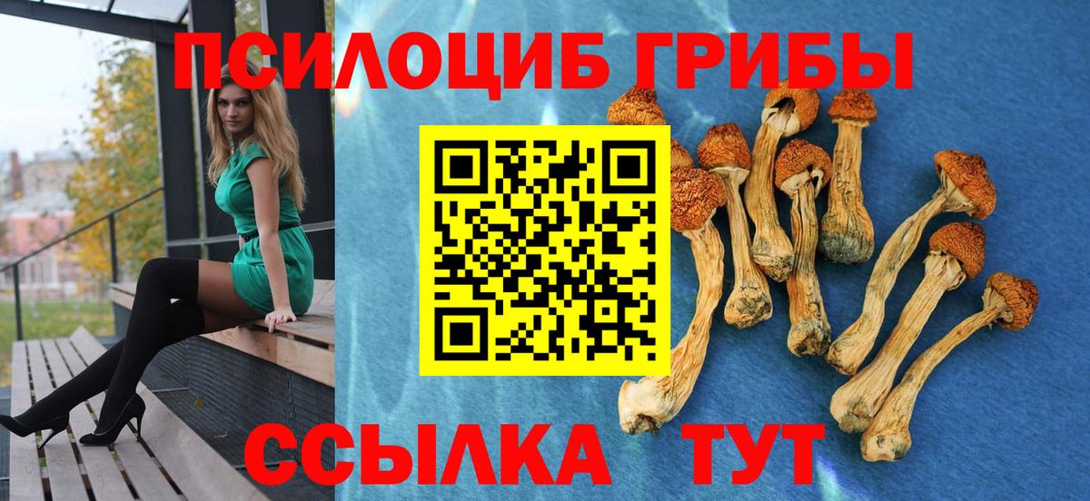 Псилоцибиновые грибы мицелий Якутск